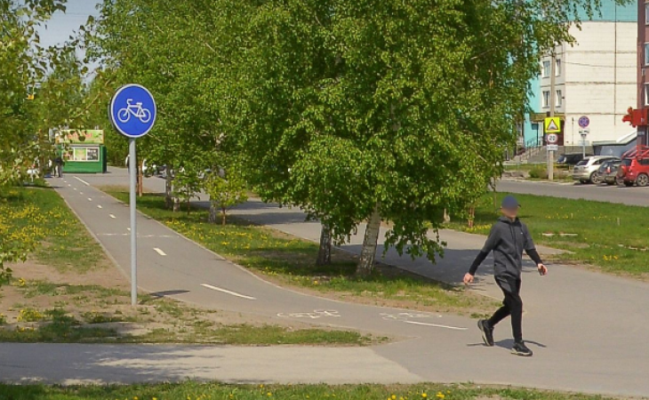 Велодорожка в Барнауле на улице Лазурной. Фото: