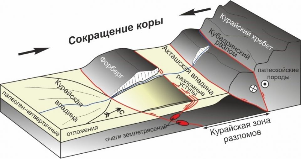 Модель, показывающая структурные взаимоотношения  Курайского хребта и Курайской впадины